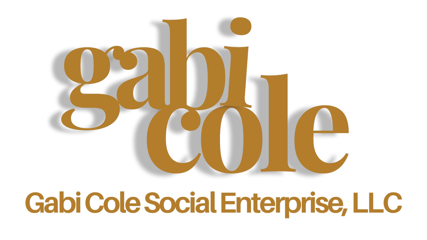 Gabi Cole Social Enterprise 