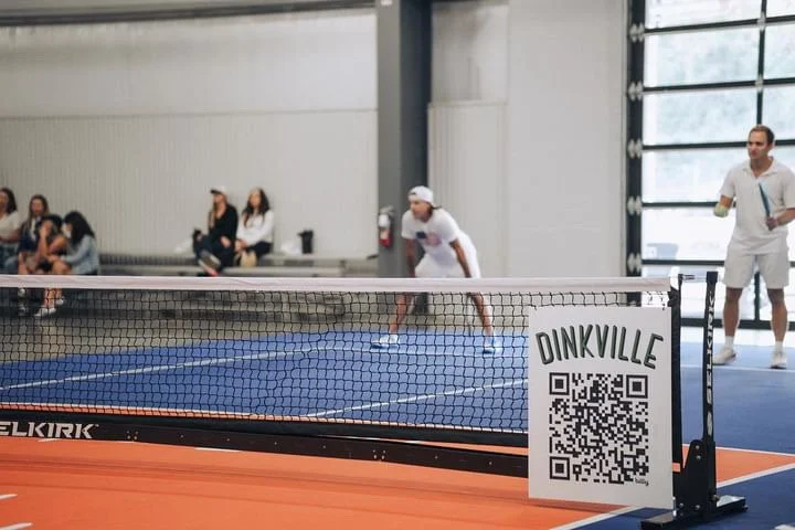 Dinkville Logo Pro Court Game for better brain.jpeg