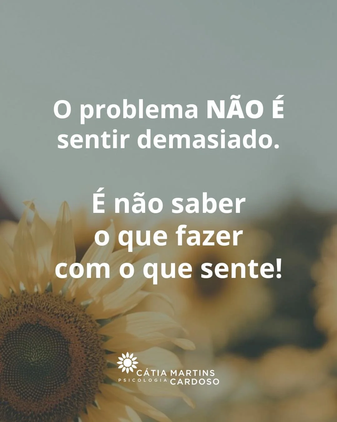 N&atilde;o conseguimos escolher o que sentimos, mas podemos aprender a escolher como respondemos.

A regula&ccedil;&atilde;o emocional n&atilde;o significa deixar de sentir tristeza, medo, ansiedade ou frustra&ccedil;&atilde;o. Significa reconhecer