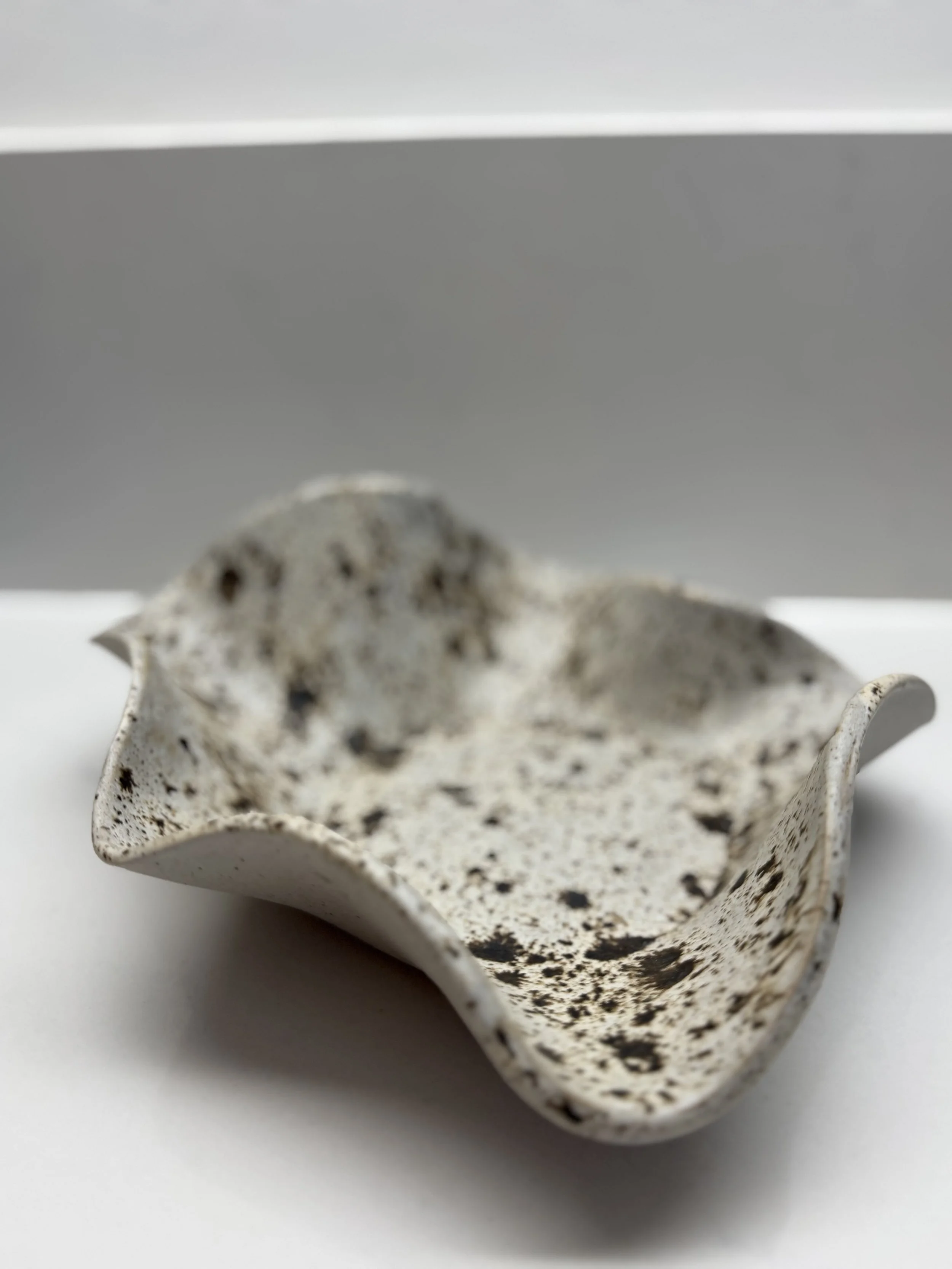 Light Medium Speckle Bowl