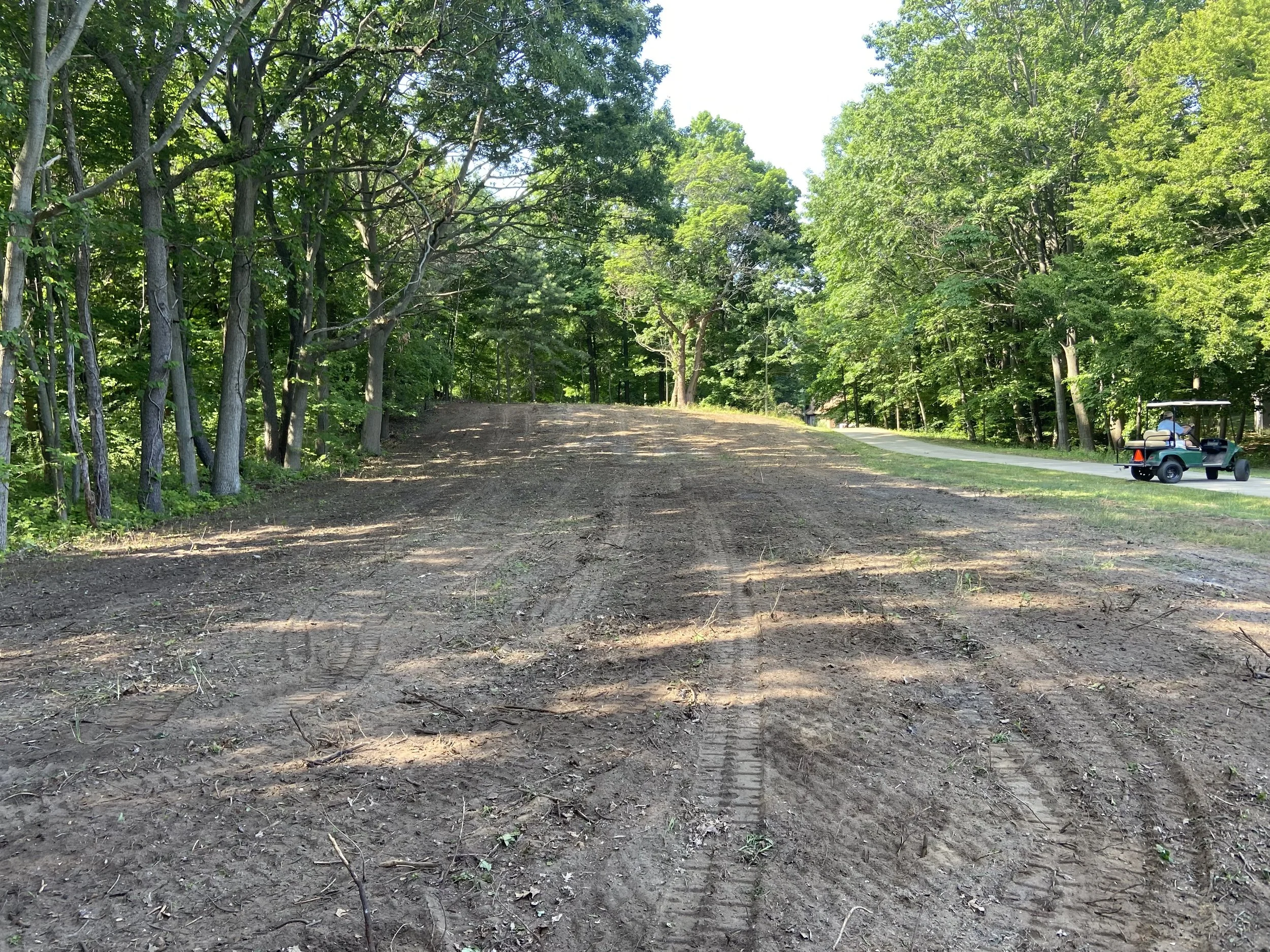 Graded yard ready for grass