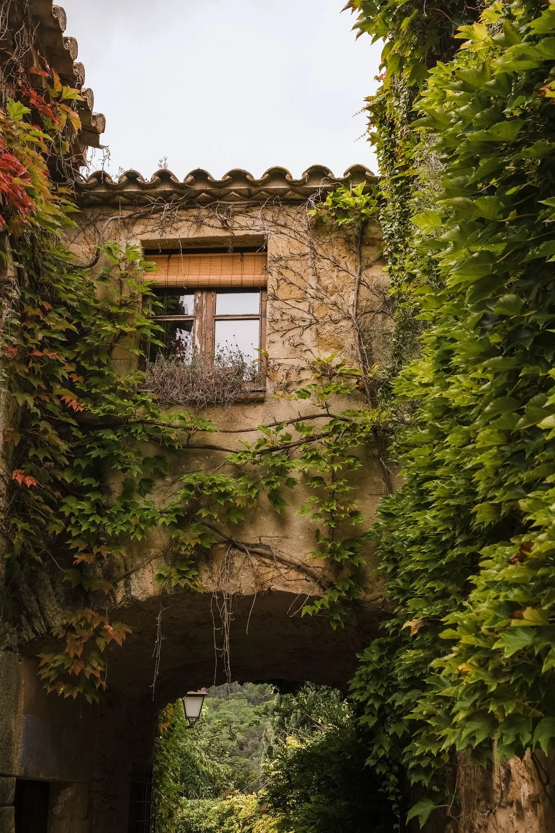 A stone building with a window and a wooden shutter, covered in vines and surrounded by greenery, with an arched passageway below.