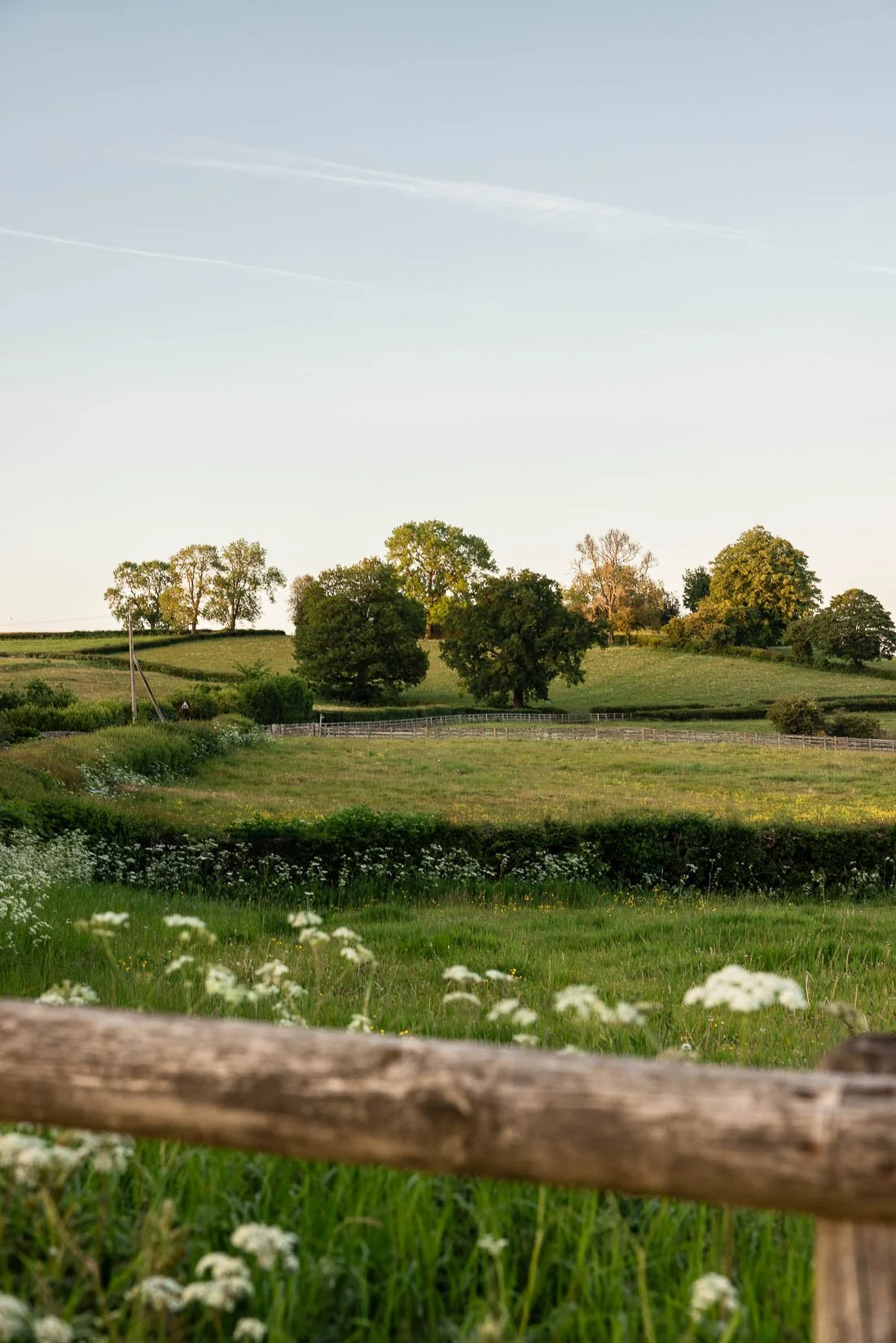 A peaceful rural landscape with rolling green hills, trees, and a clear sky at sunset.