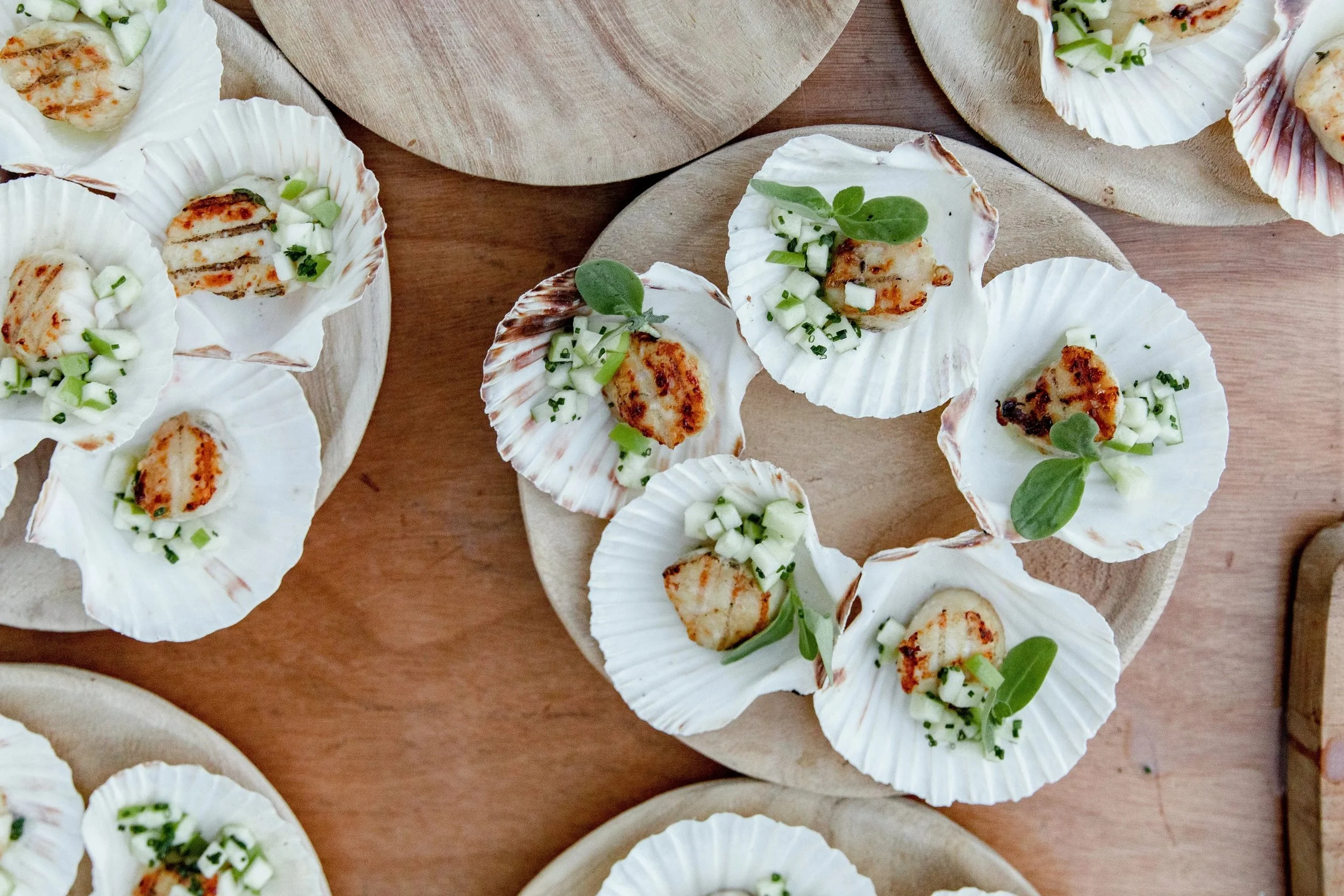 Scallop shells filled with grilled scallops, topped with chopped green onions and garnished with fresh herbs, arranged on wooden serving boards.