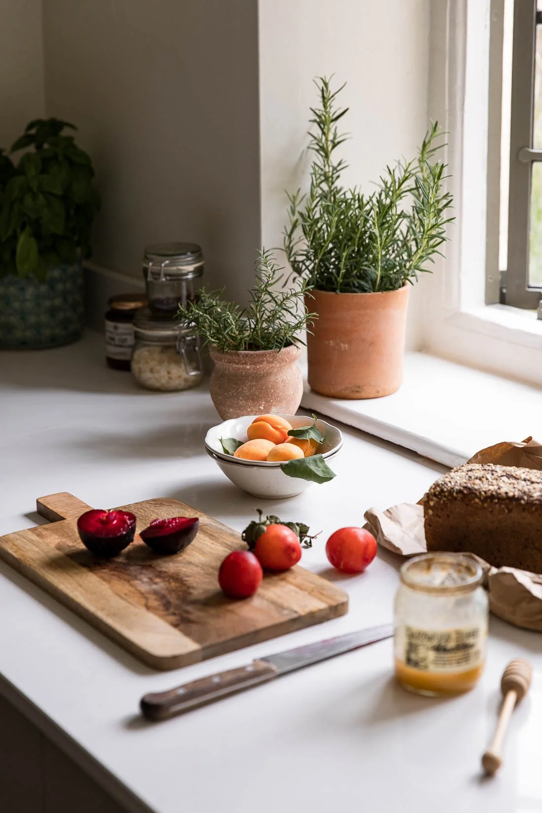 A kitchen countertop with fresh fruit, potted herbs, jars, a loaf of bread, and a knife near a window.