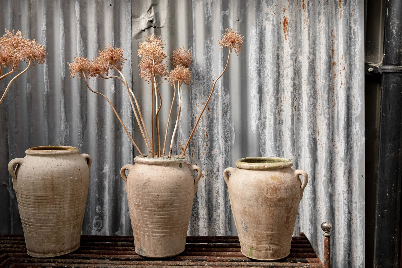Three rustic clay pots, with the middle one containing dried flowering stems, are placed on a wooden slatted surface against a weathered corrugated metal wall.