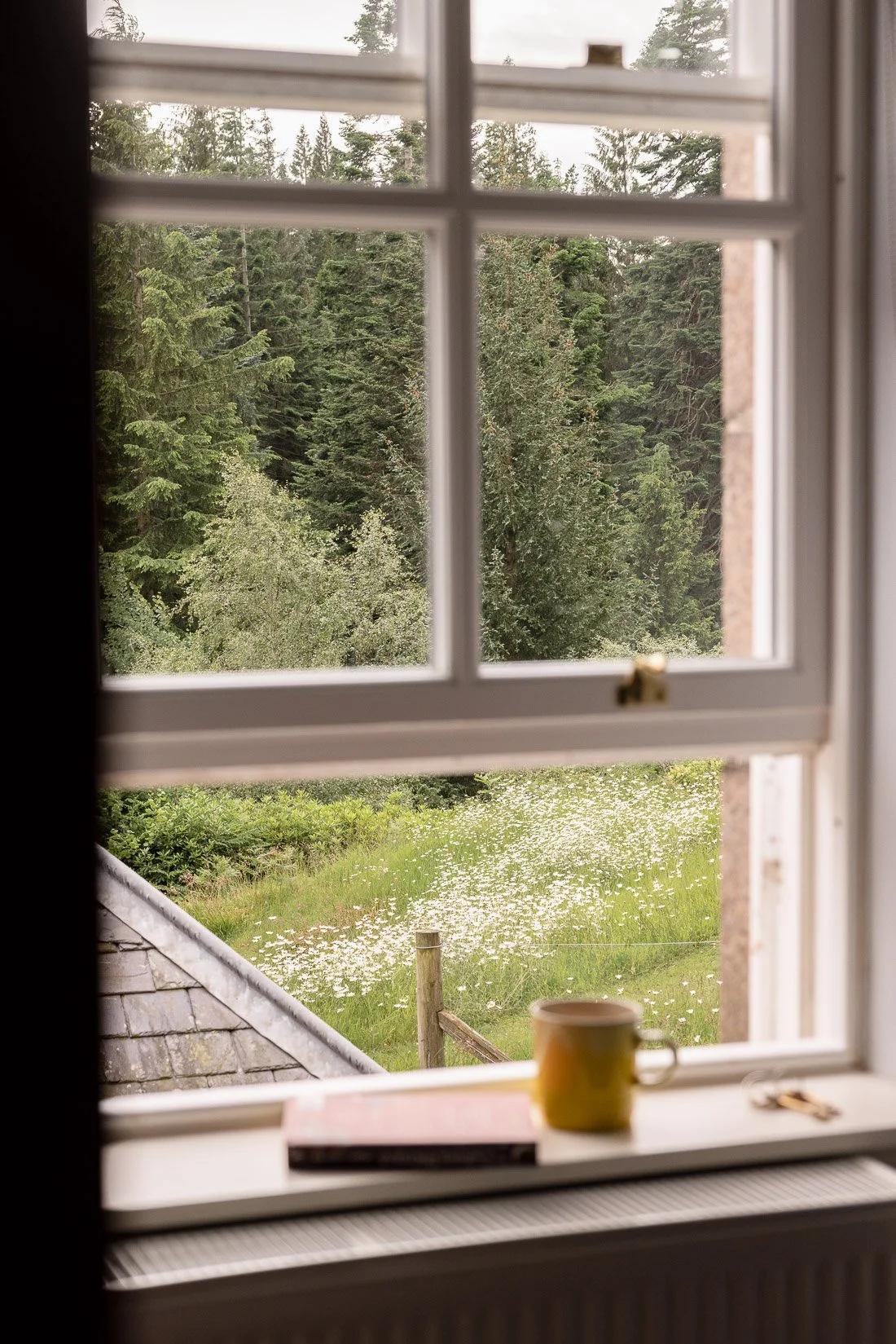 View of a green forest through a window with white framing. On the windowsill, there is a yellow mug, a closed pink book, and a small object.