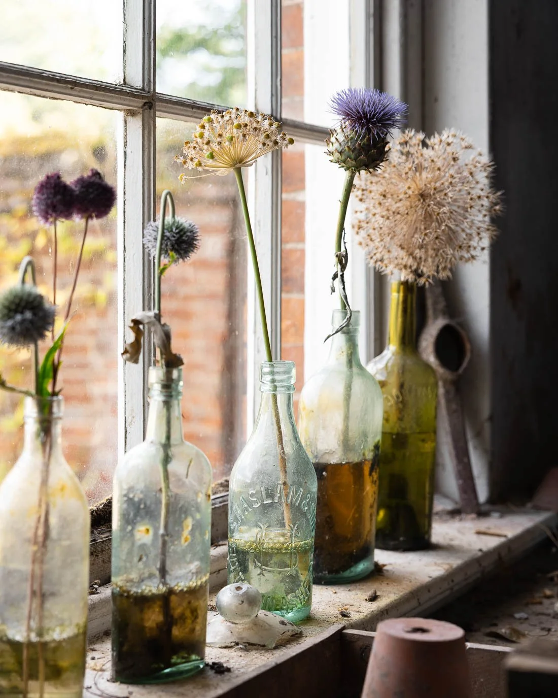 Vintage glass bottles with dried allium flowers on a windowsill, sunlight streaming through the window.