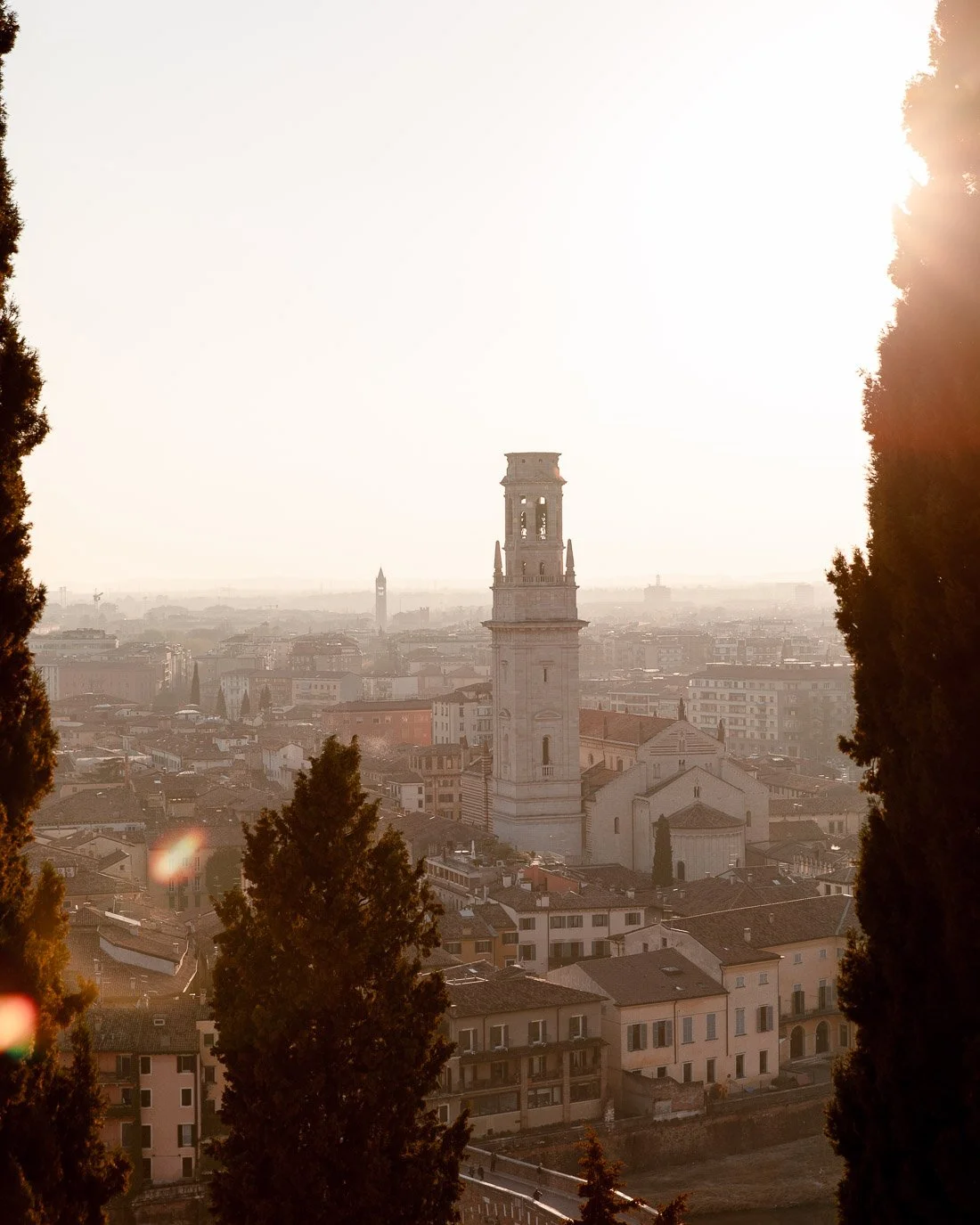 Cityscape of Verona with prominent tower in the center, framed by tall trees, during sunset or sunrise with warm light.