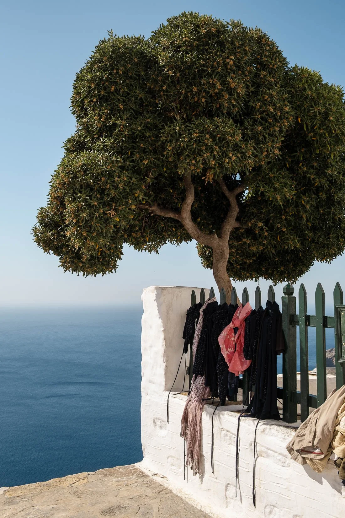 Clothes hanging on a white wall near a green metal fence and a large tree overlooking the ocean with a clear sky.