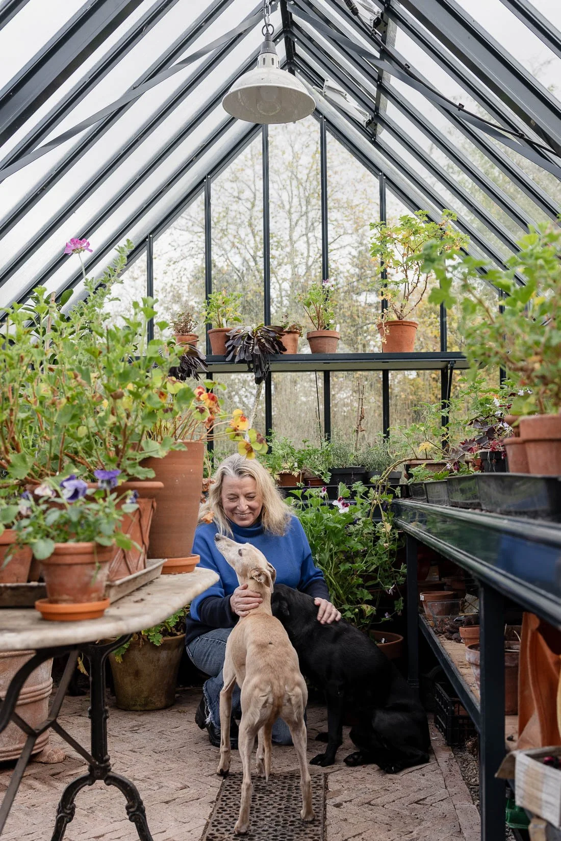 A woman smiling and kneeling in a greenhouse filled with potted plants, holding three dogs of different colors.