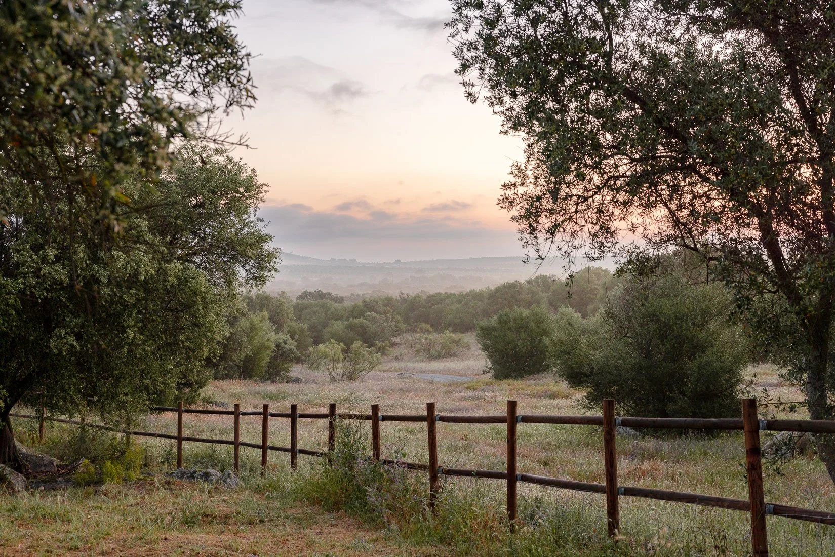 São Lourenço do Barrocal Alentejo Portugal - Kym Grimshaw Photography-22.jpg
