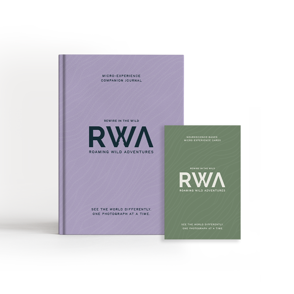 MicroExperience Cards + Journal Bundle — Forest Green / Dusky Sky