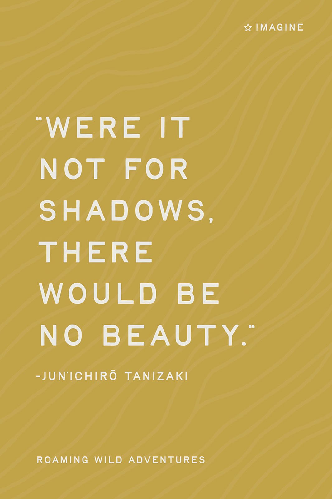 RWA Experience Cards_29JAN26_Imagine- Shadow Play_Front.jpg