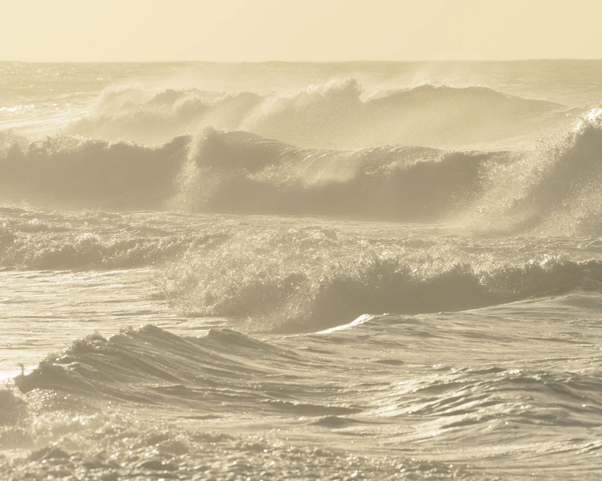 Small Steps Create Big Shifts