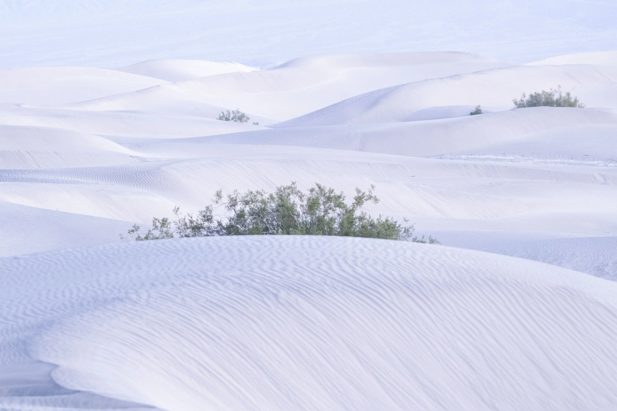 Turn Intention Into Action