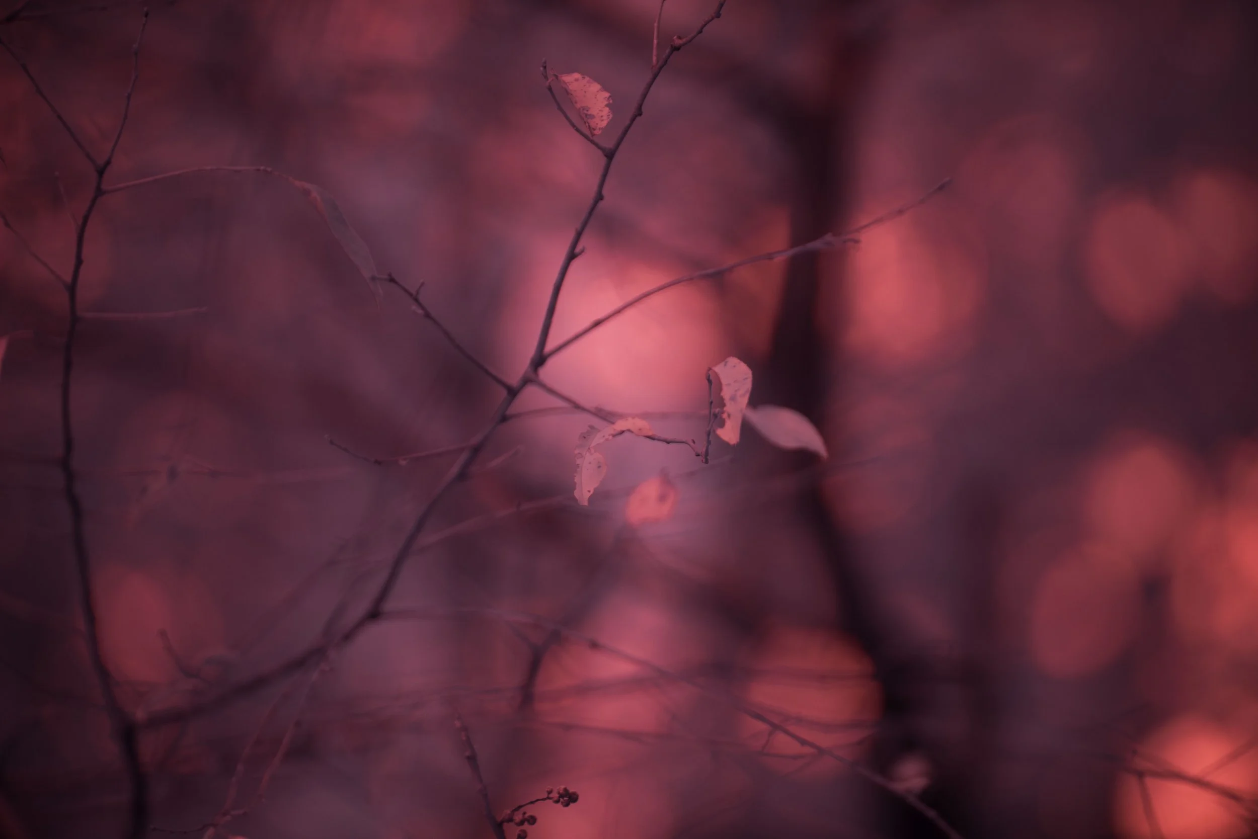 Why I Couldn't Write This Post (And What That Taught Me About Regulation)