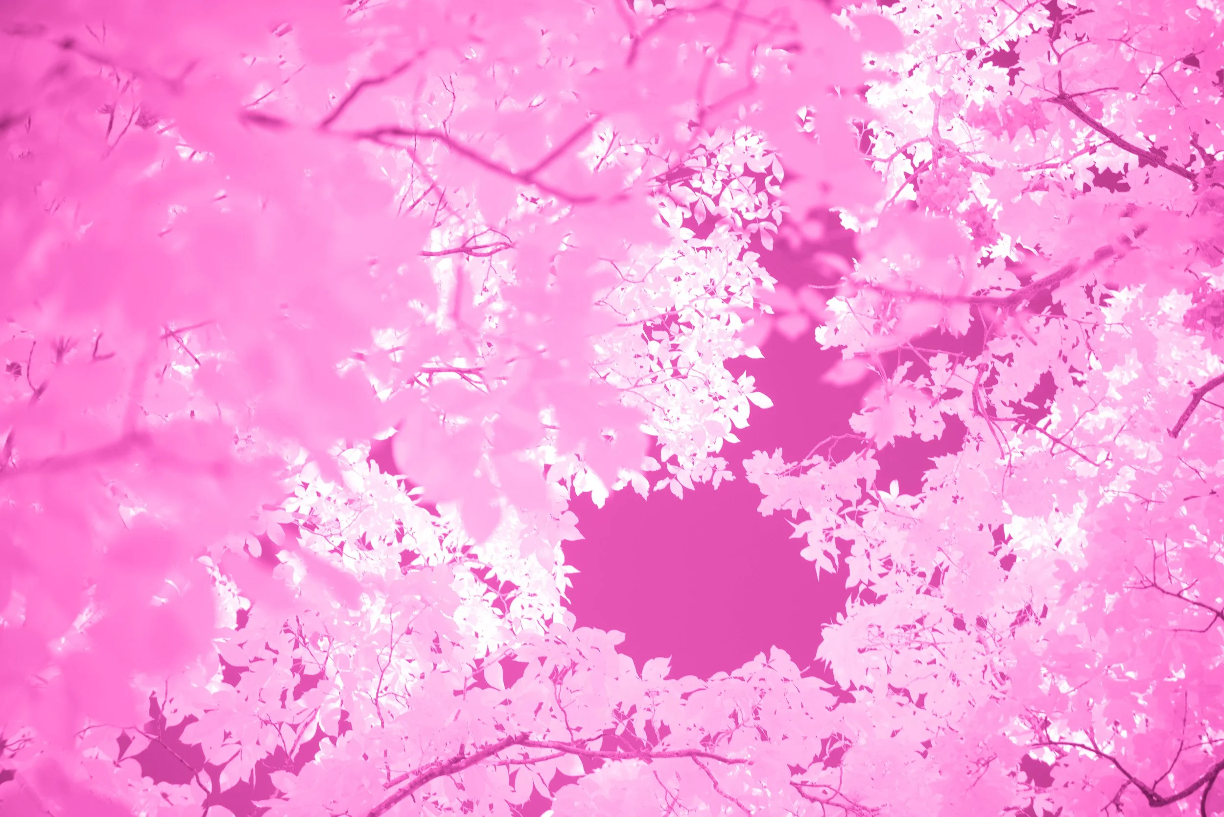 That Time a Rocket Taught Me Everything About Perspective (And Your Brain)