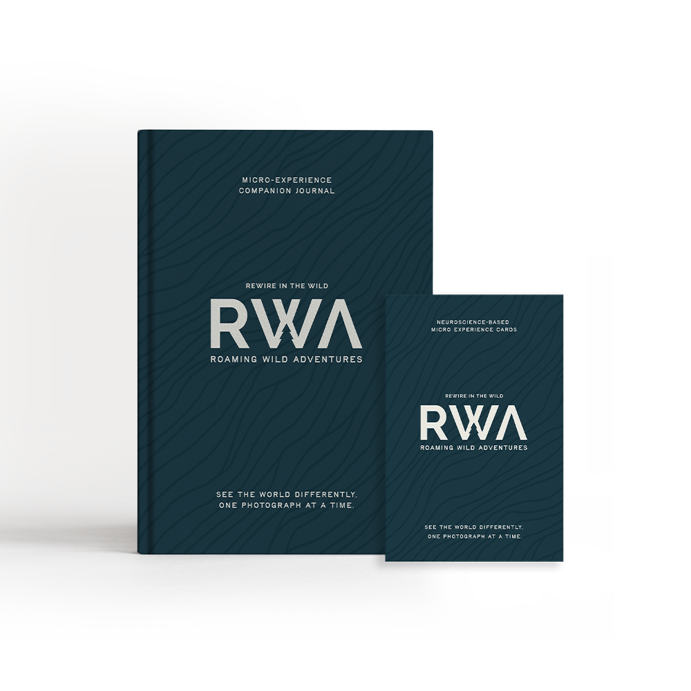 MicroExperience Cards + Journal Bundle — Deep Sea / Deep Sea