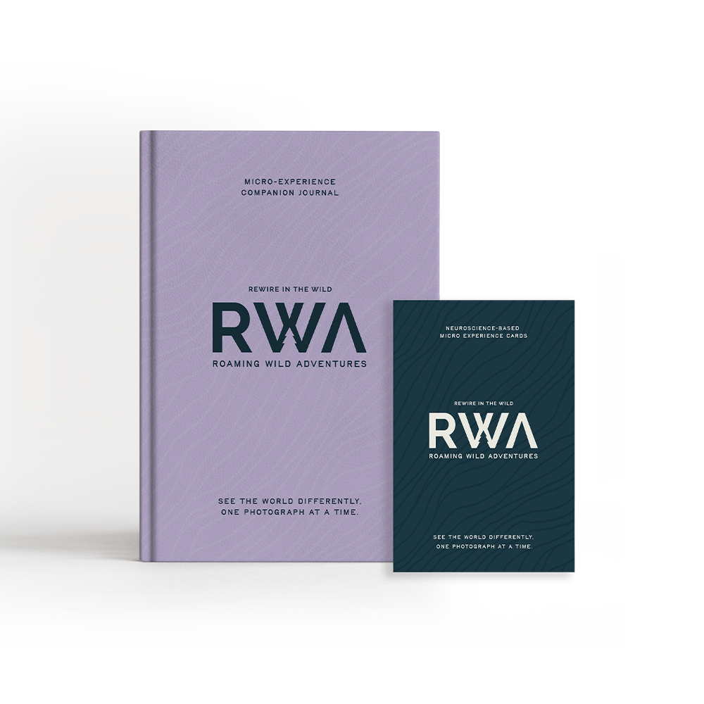 MicroExperience Cards + Journal Bundle — Deep Sea / Dusky Sky