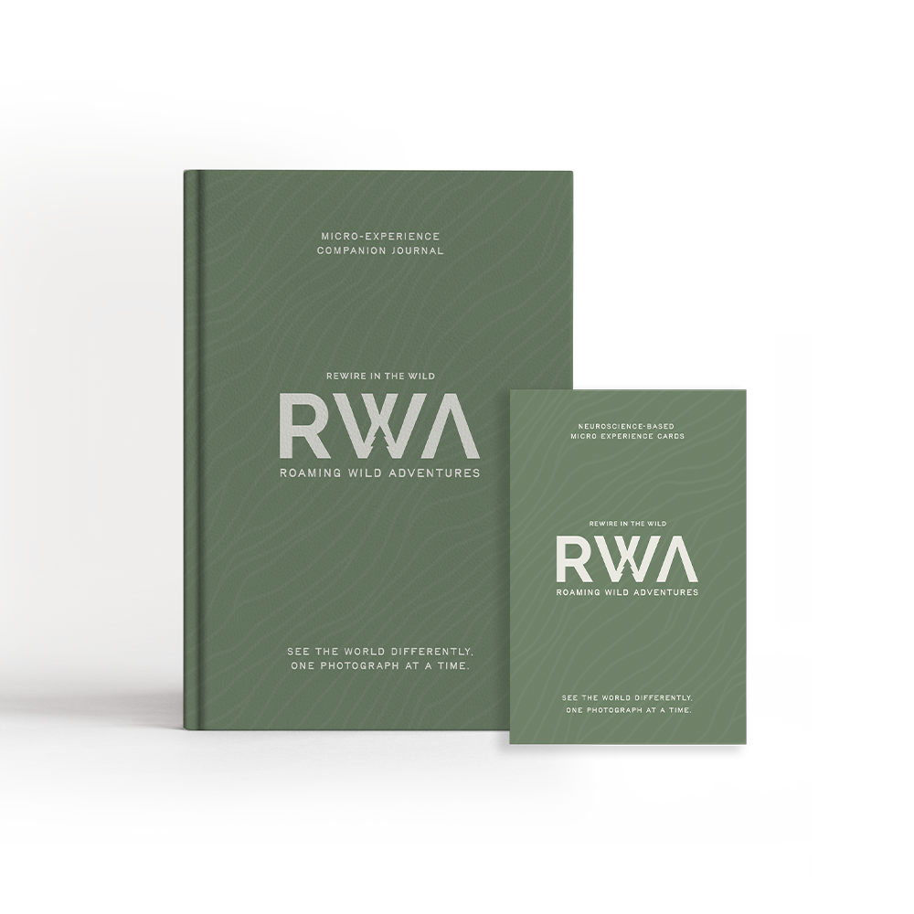 MicroExperience Cards + Journal Bundle — Forest Green / Forest Green