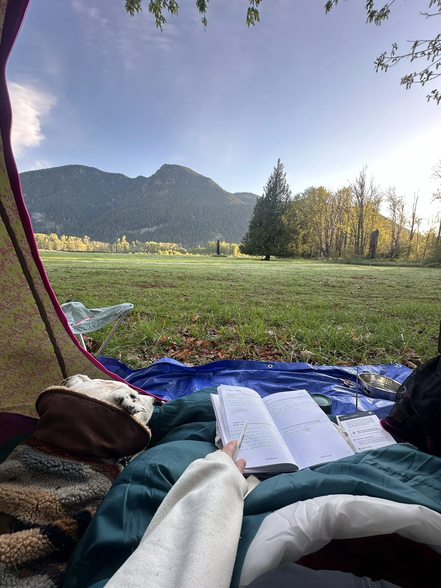 A camper relfects in their journal with their dog by their side.