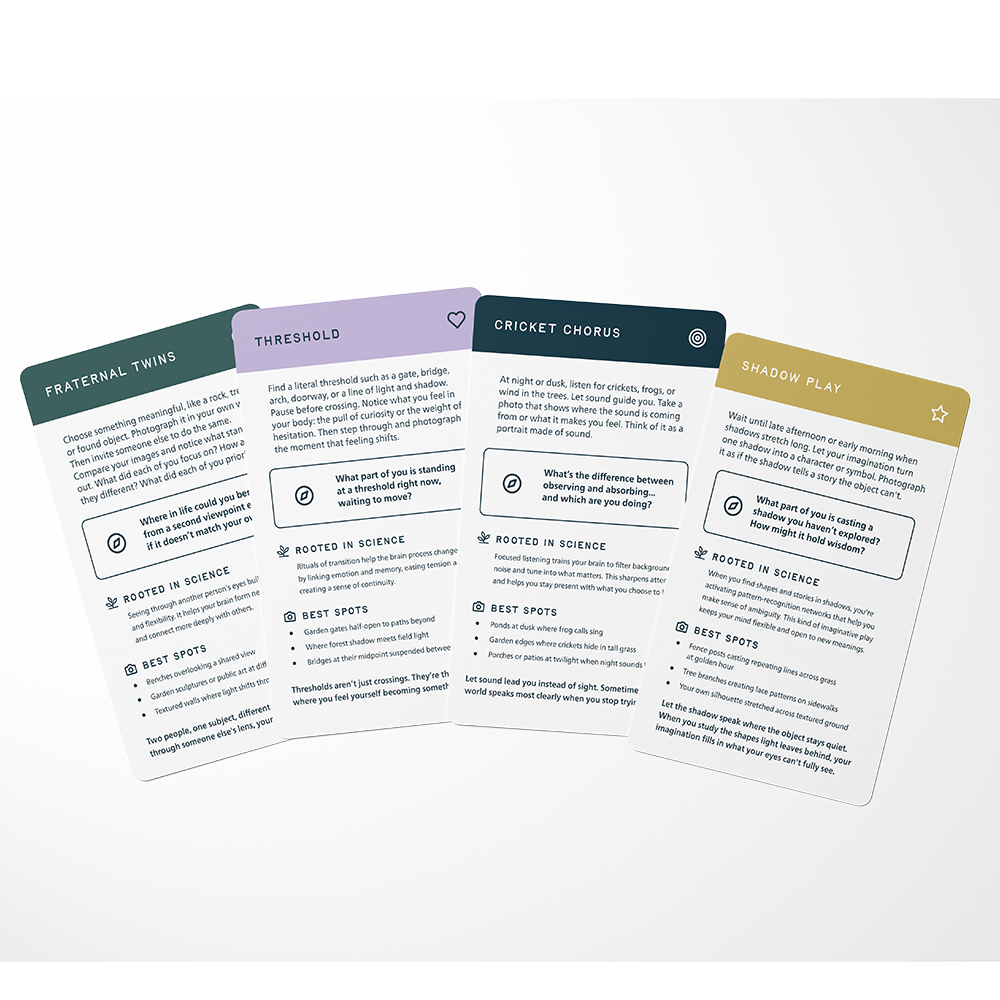 Backs Fanned Out.png