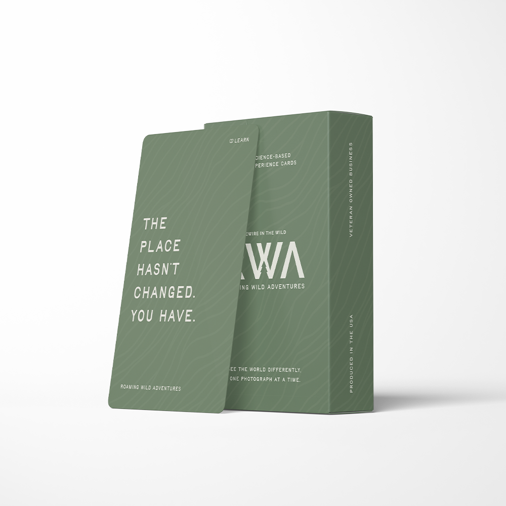 Forest Green Box.png