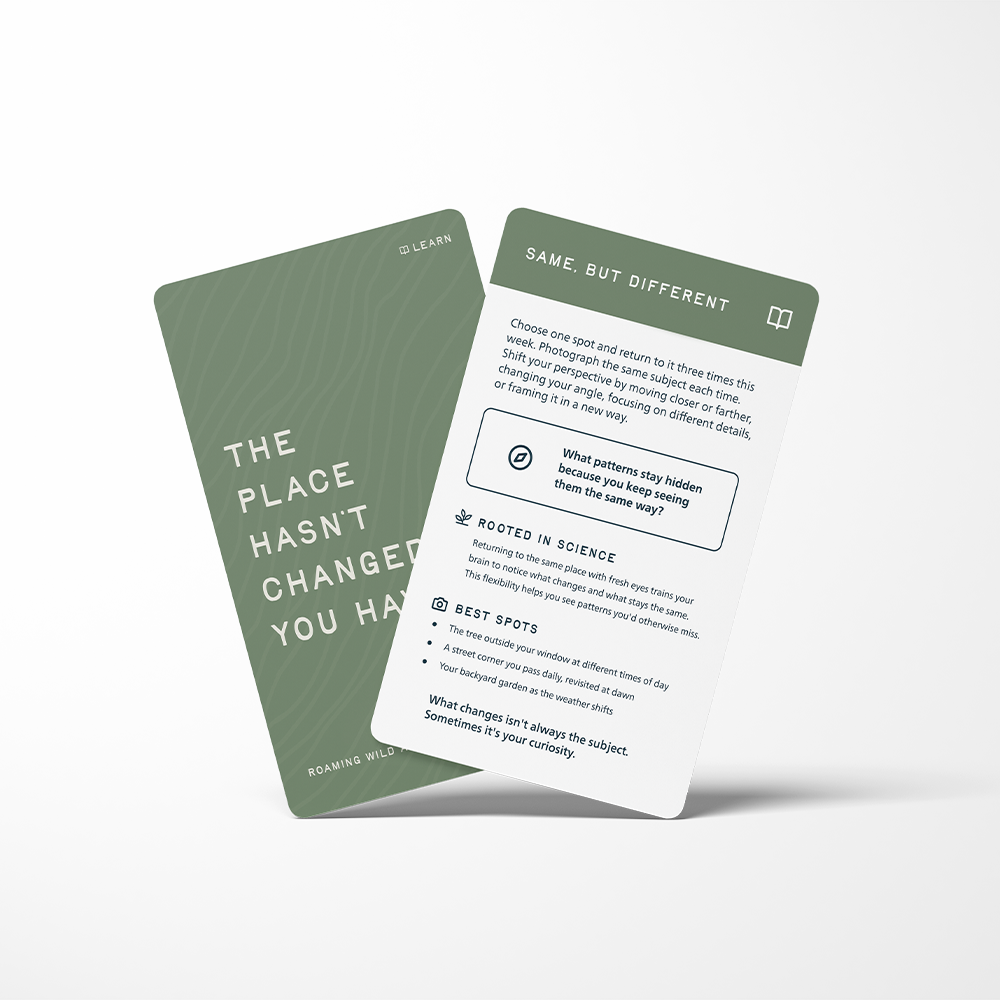 Learn Card-Front_Back.png