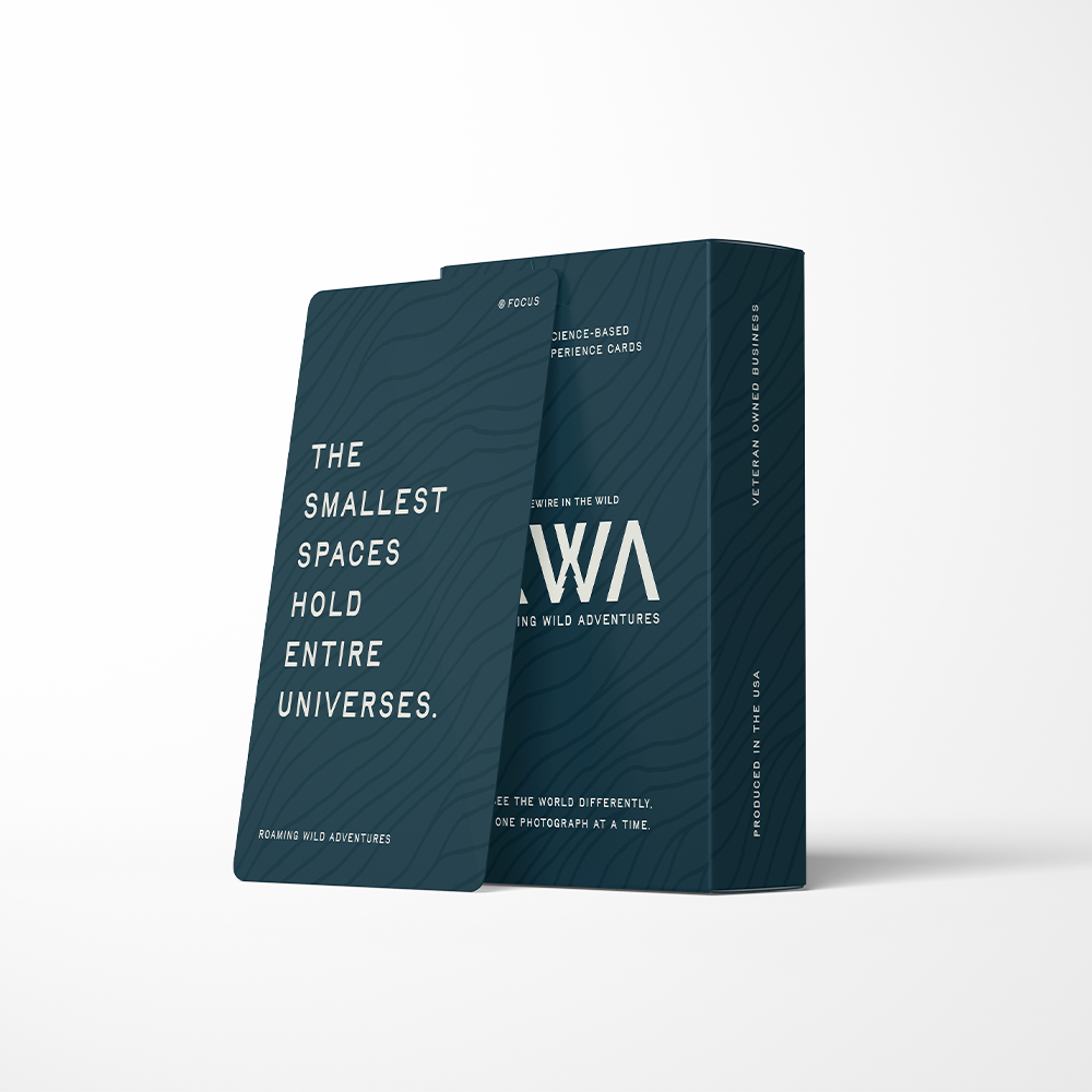 Deep Sea Card Box.png