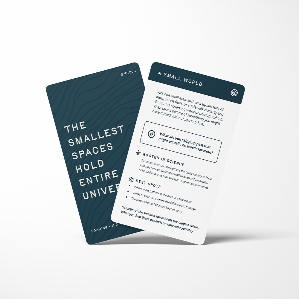 Focus Card-Front_Back.png