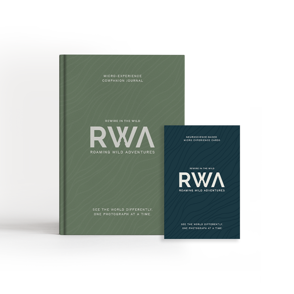 MicroExperience Cards + Journal Bundle — Deep Sea / Forest Green