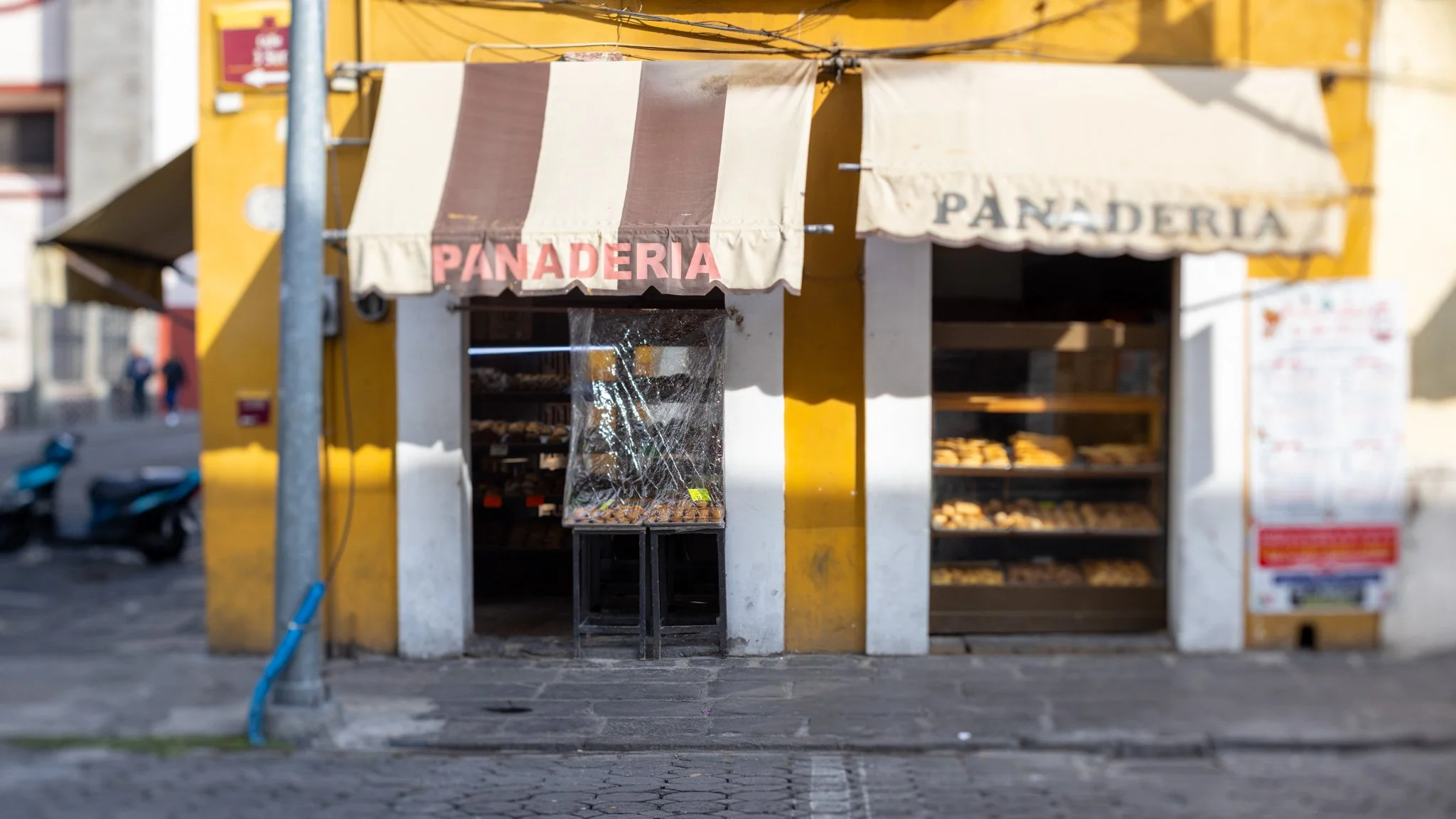 Puebla20250708_0184.jpg