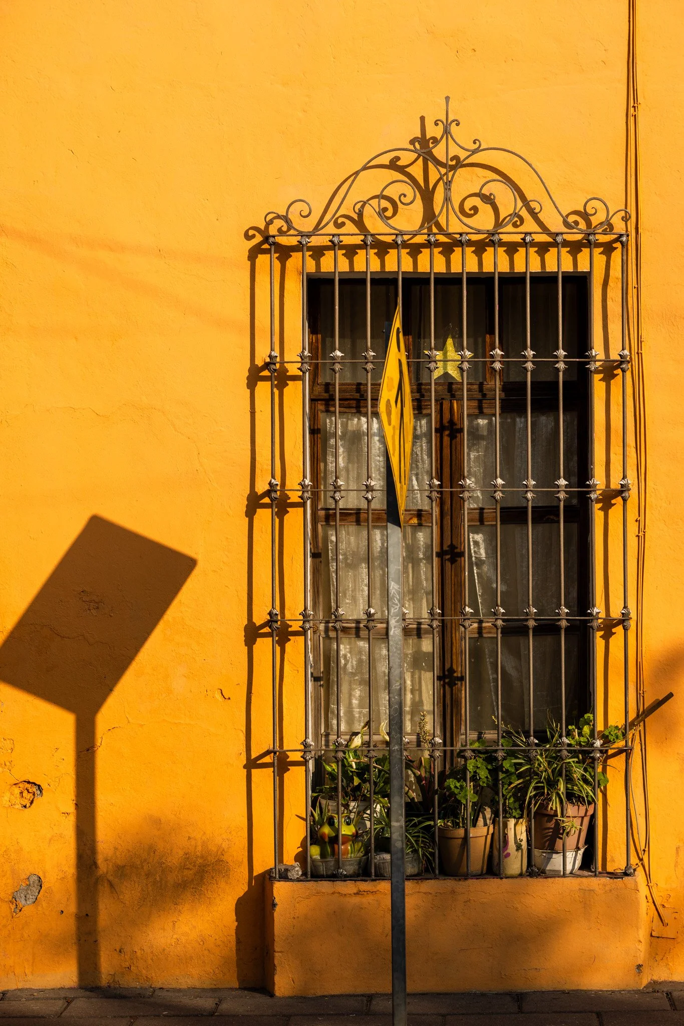 Puebla20240520_0069.jpg