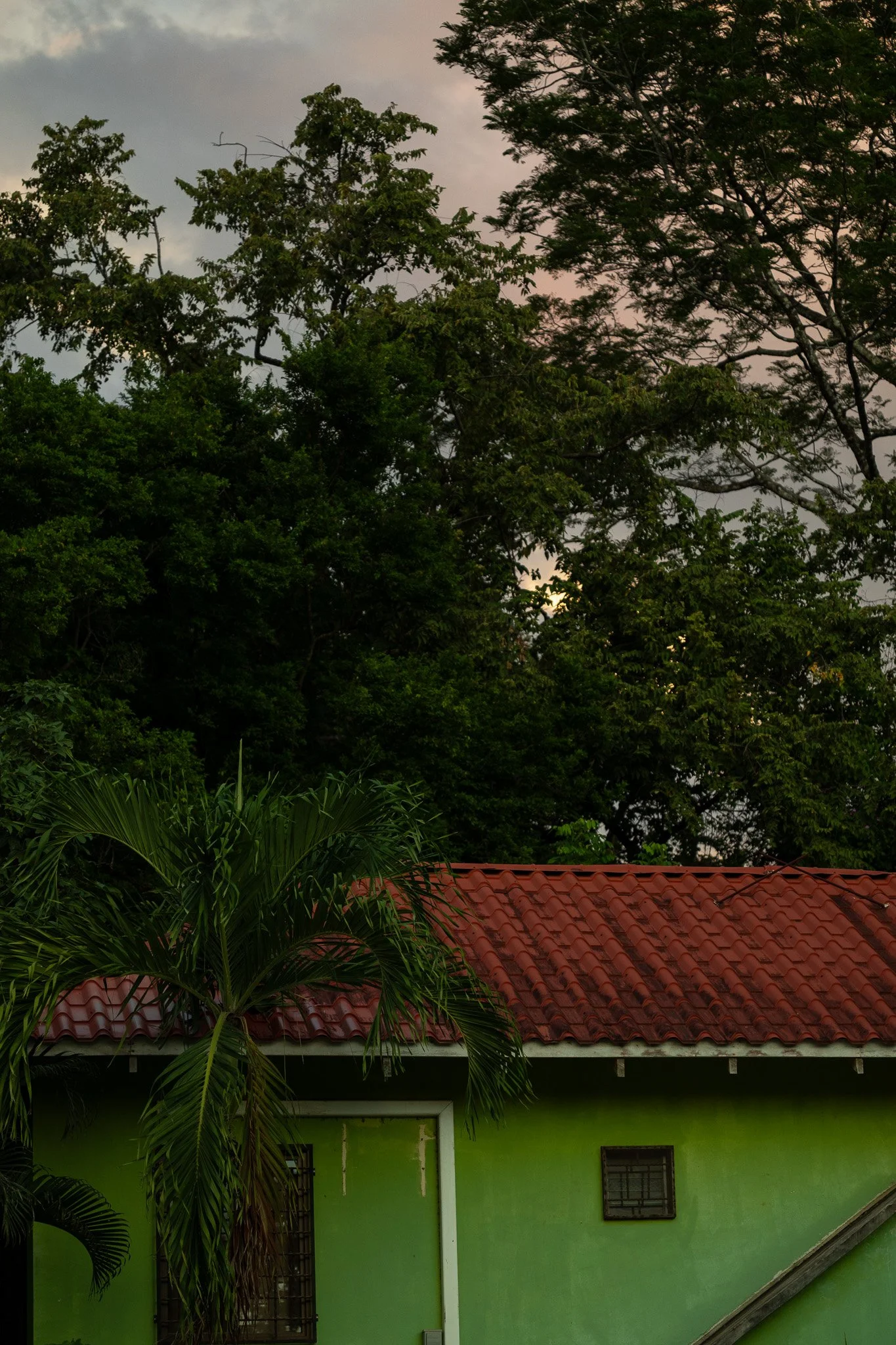 _S7A2776.jpg