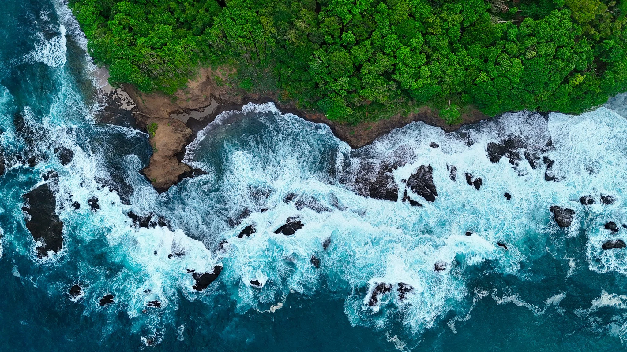 DJI_20260906120557_0034_D.jpg