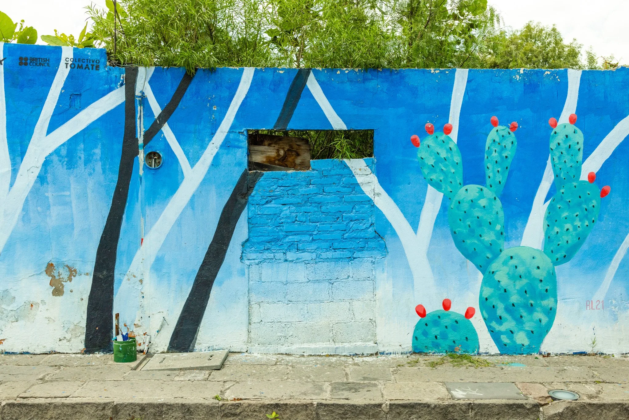 Puebla20250711_0191.jpg