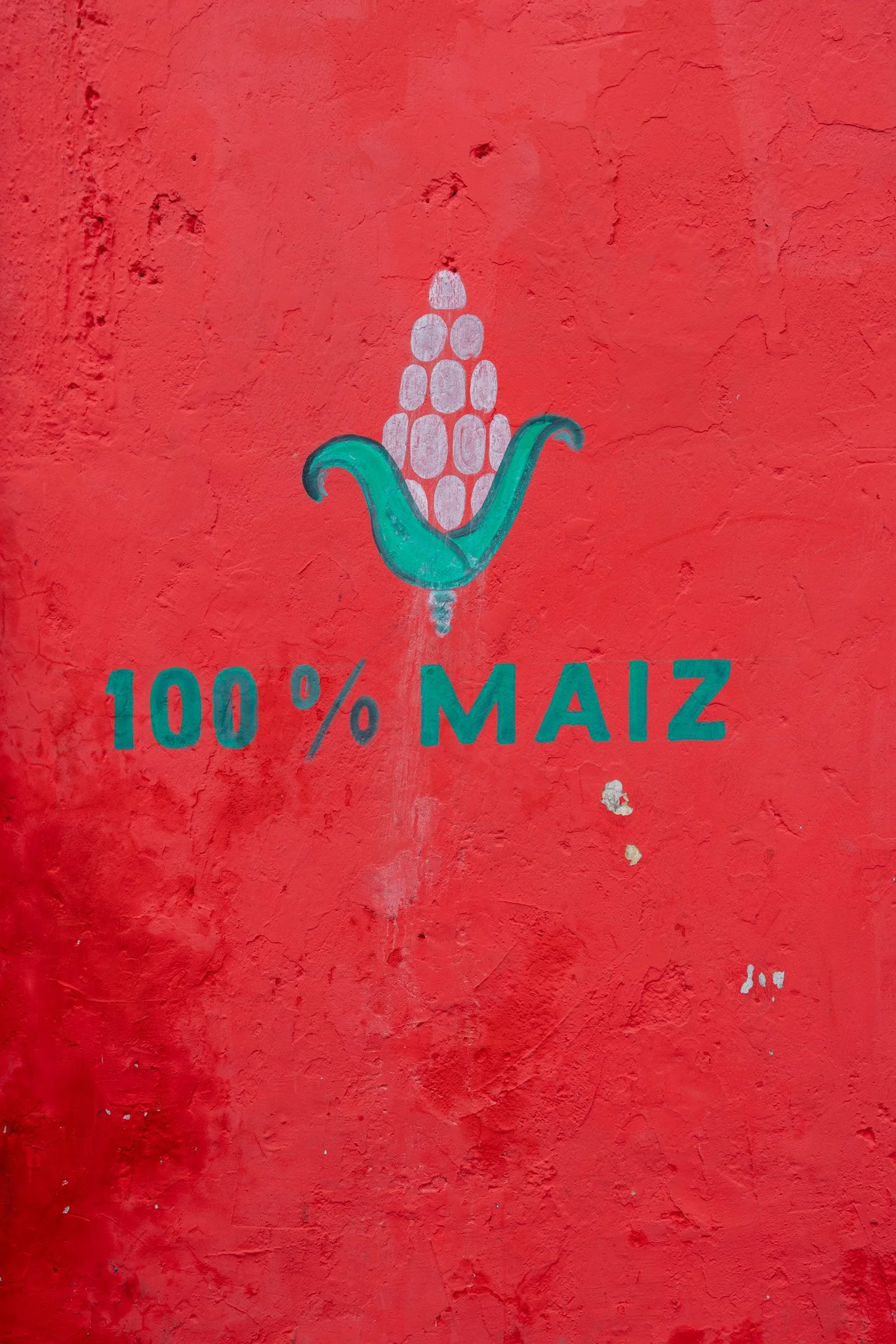 Puebla20250629_0122.jpg
