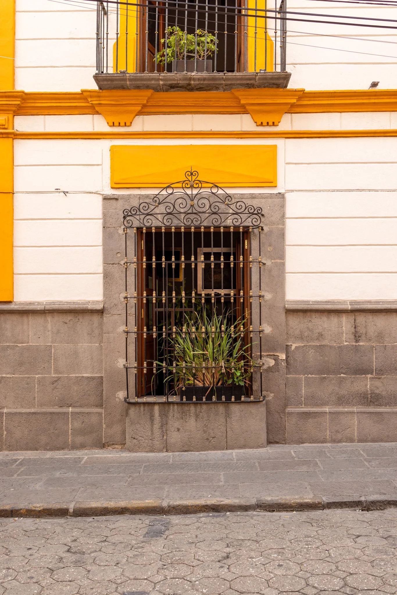 Puebla20250701_0144.jpg