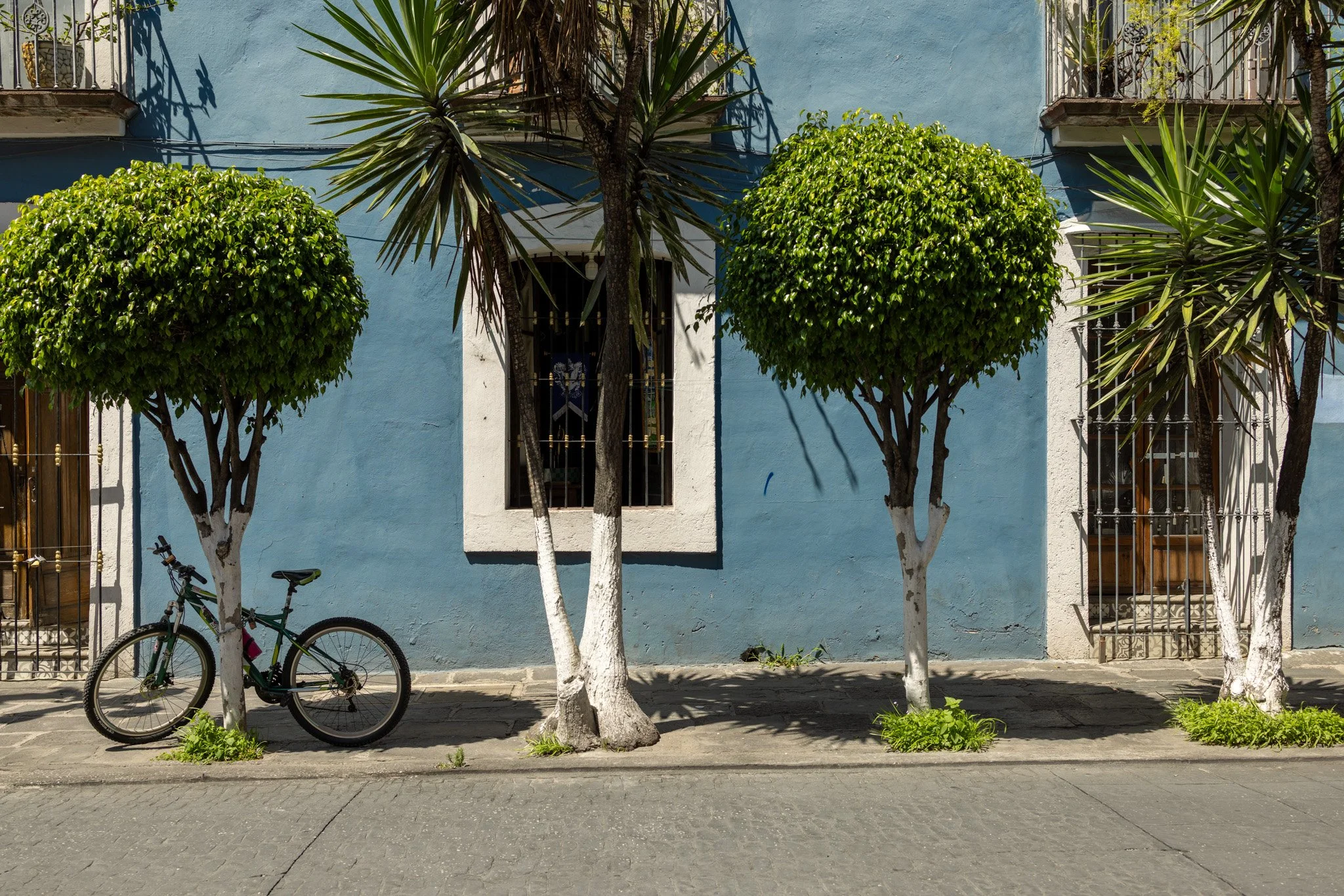Puebla20250704_0149.jpg