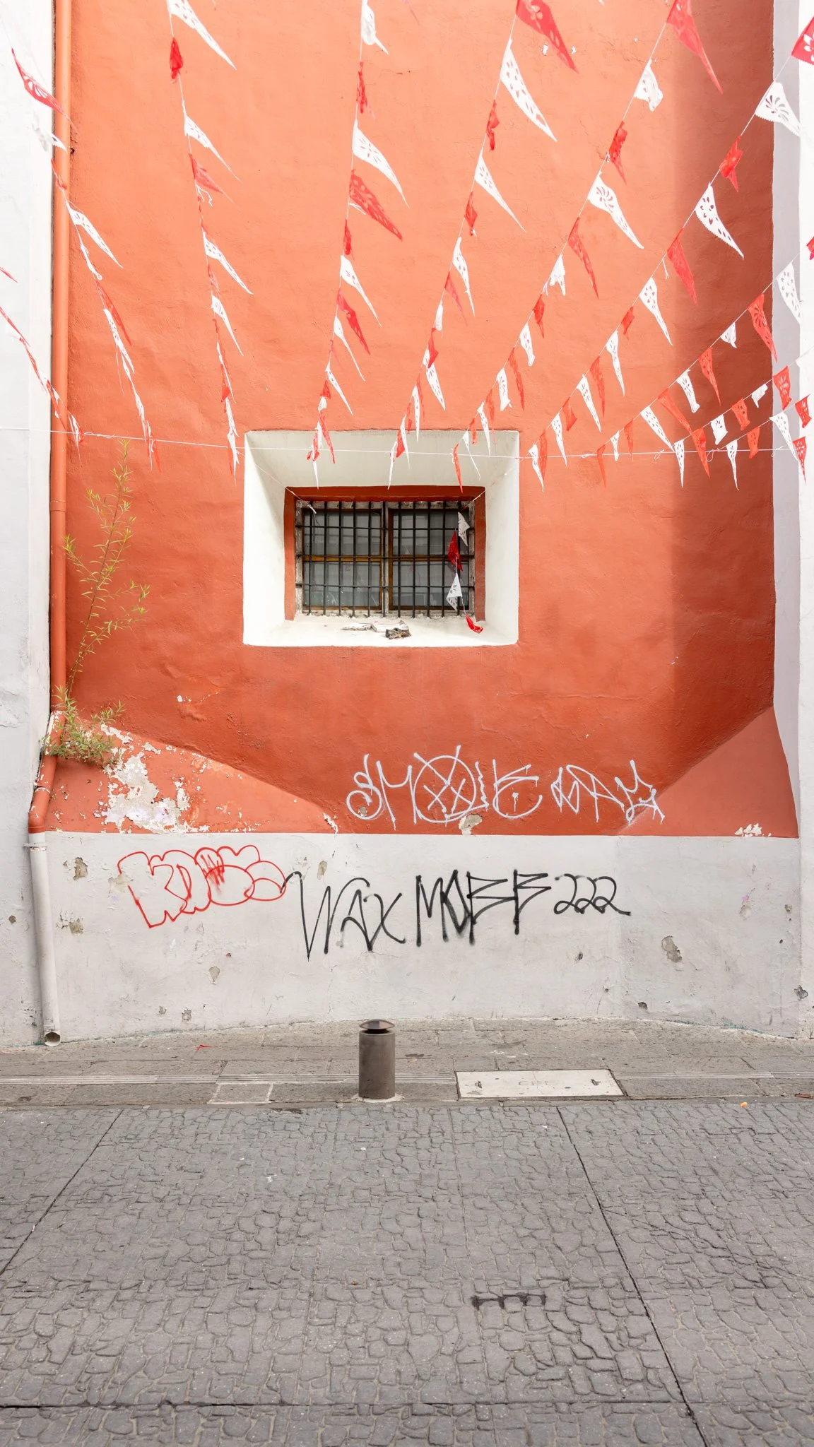 Puebla20250629_0124.jpg