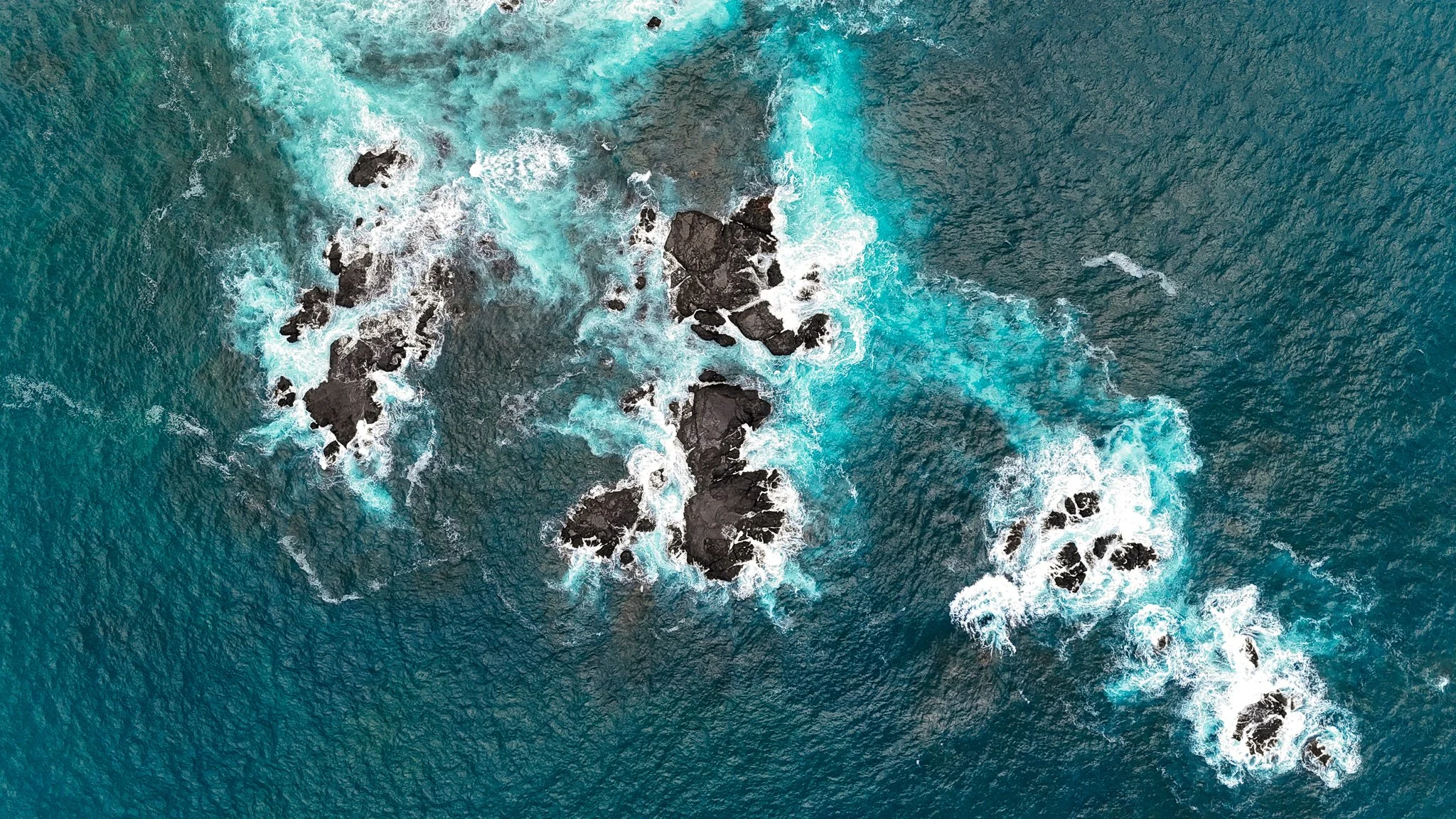 DJI_20260906120246_0029_D.jpg