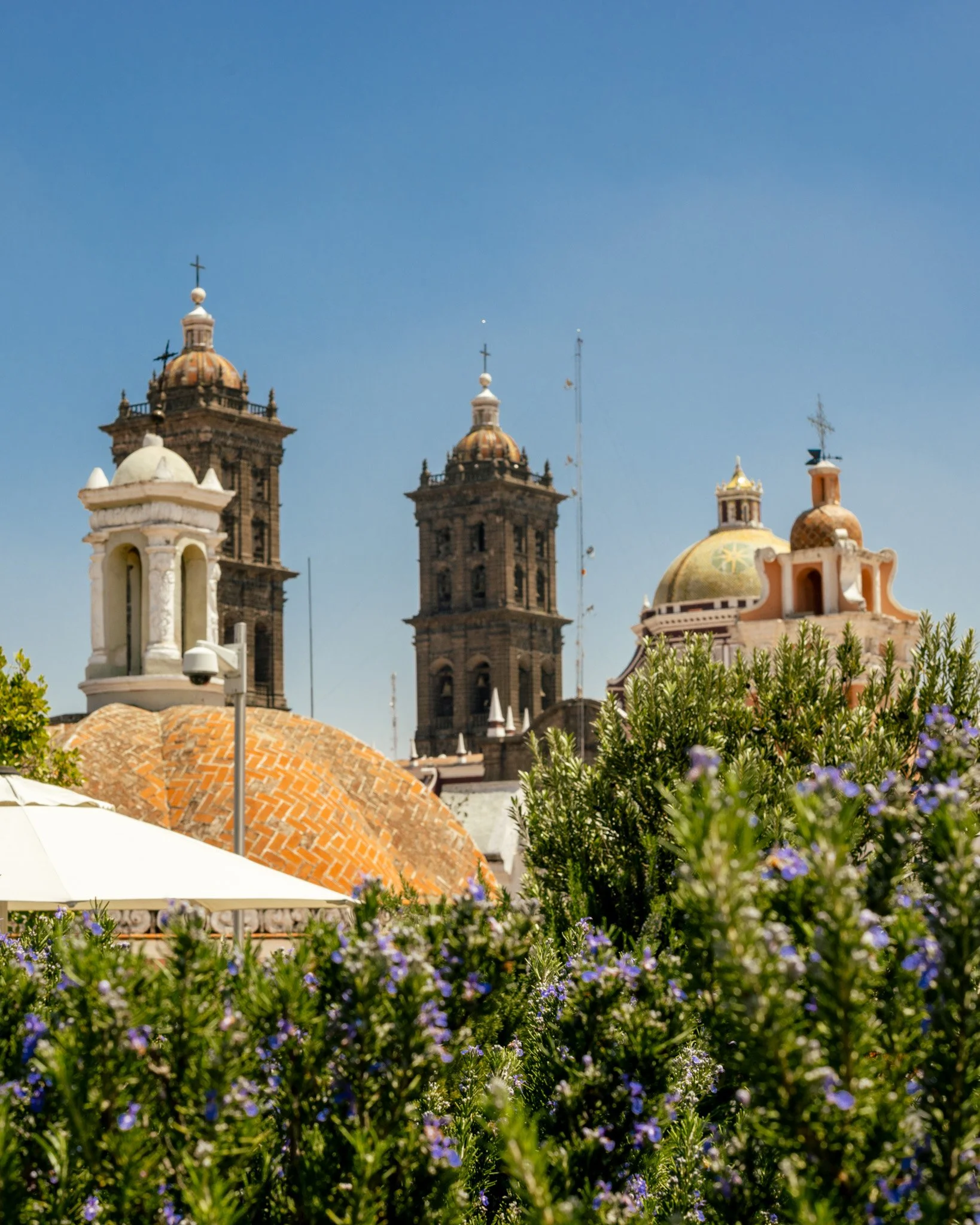 Puebla20250704_0155.jpg