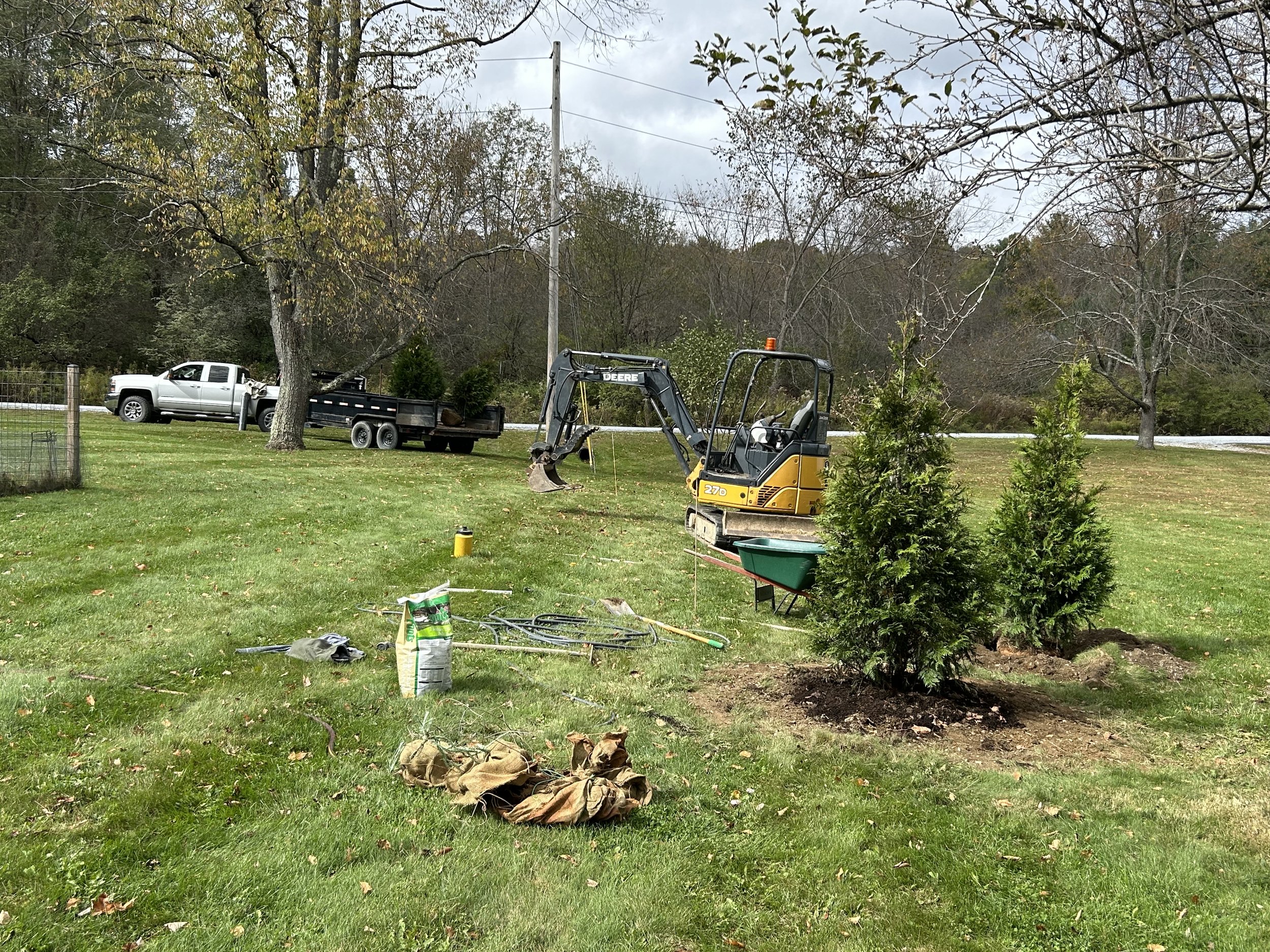 A small yellow and black mini excavator parked on a grassy yard next to two small evergreen trees, with gardening tools and supplies on the ground, in a suburban area with trees and a road in the background.