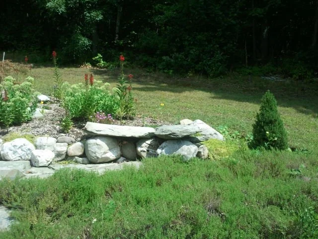 A garden with a stone bench, surrounded by greenery and flowering plants, and a grassy lawn in the background.