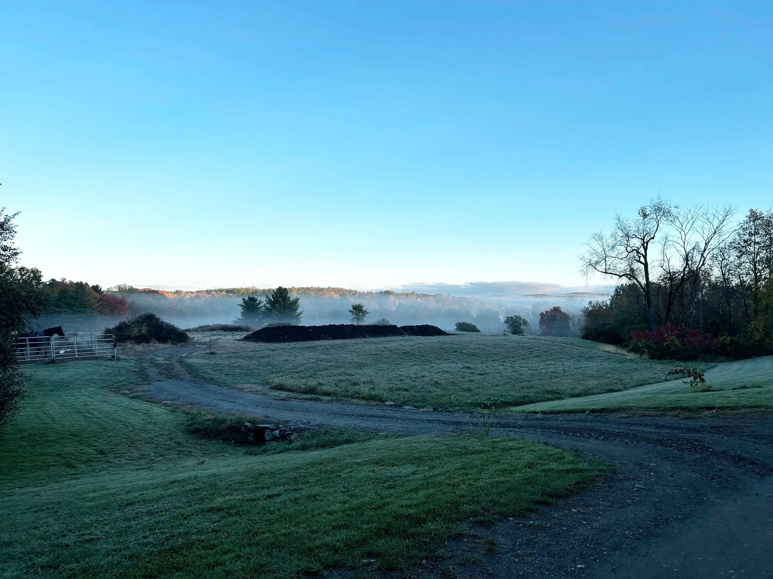 A rural landscape with a dirt road, green grass, and fog in the background. There are trees, a white fence, and a horse standing near the fence on the left side.