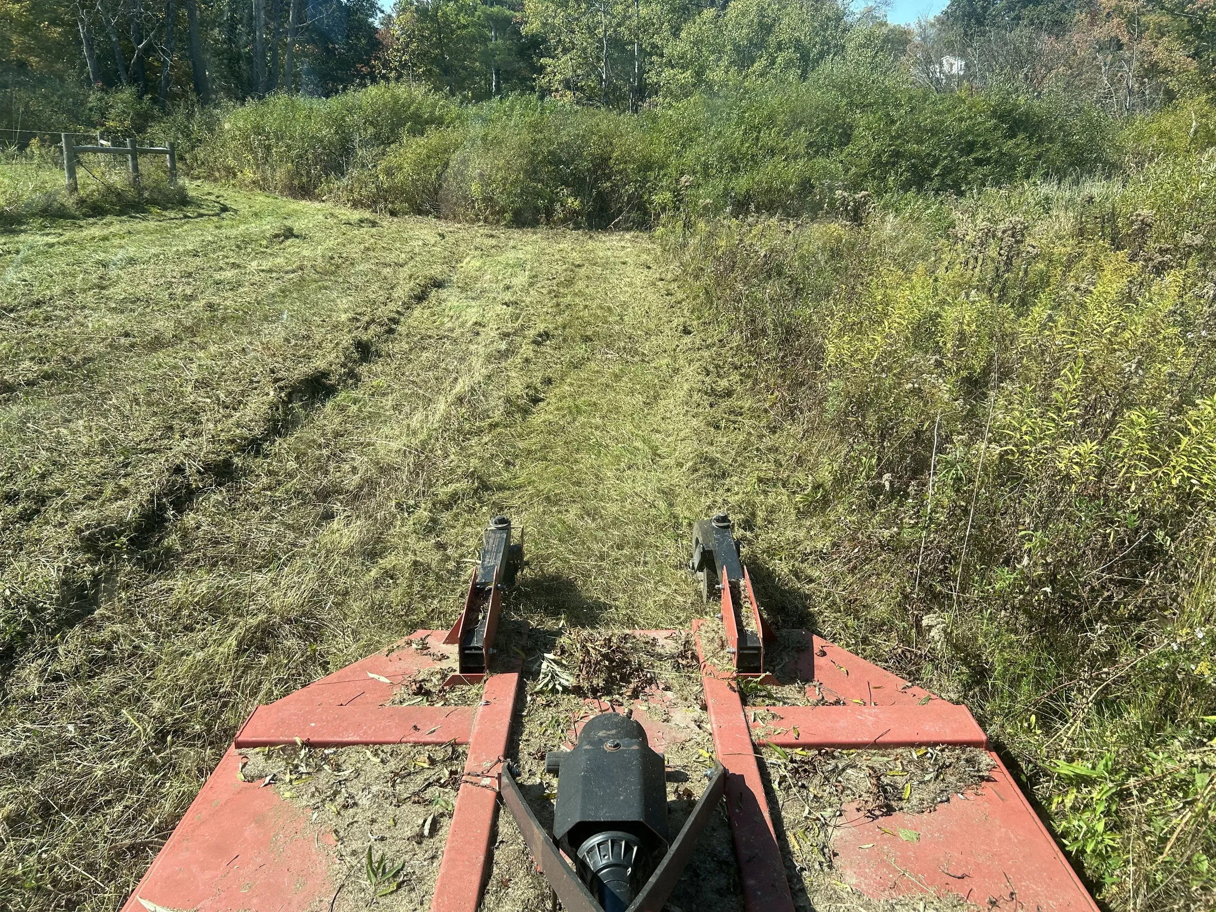View from a lawn mower looking forward, showing cut grass and uncut grass on the right side, with trees and bushes in the background.