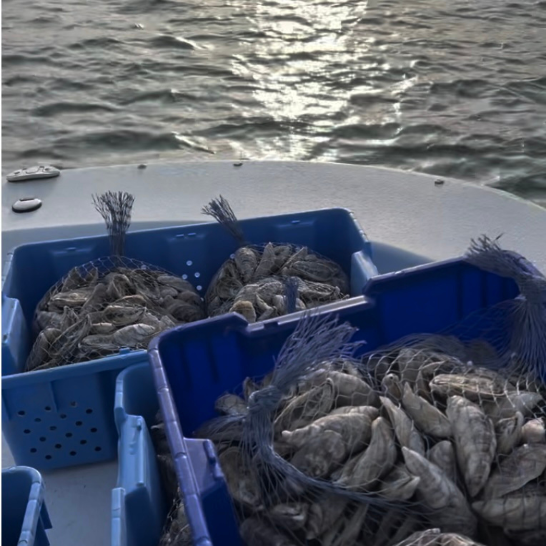 MALNEISPIGFOBLV4SSZHXX4G.png.webp (Copy) (Copy)