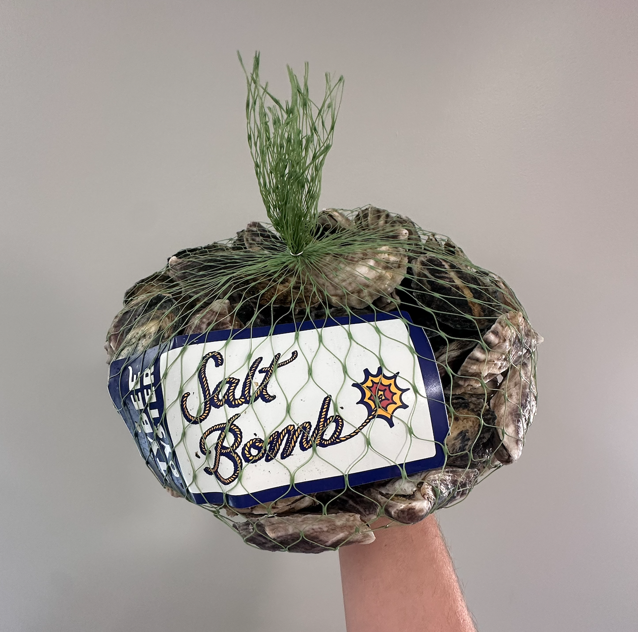 Salt Bomb - 25 Qty - Pickup Only