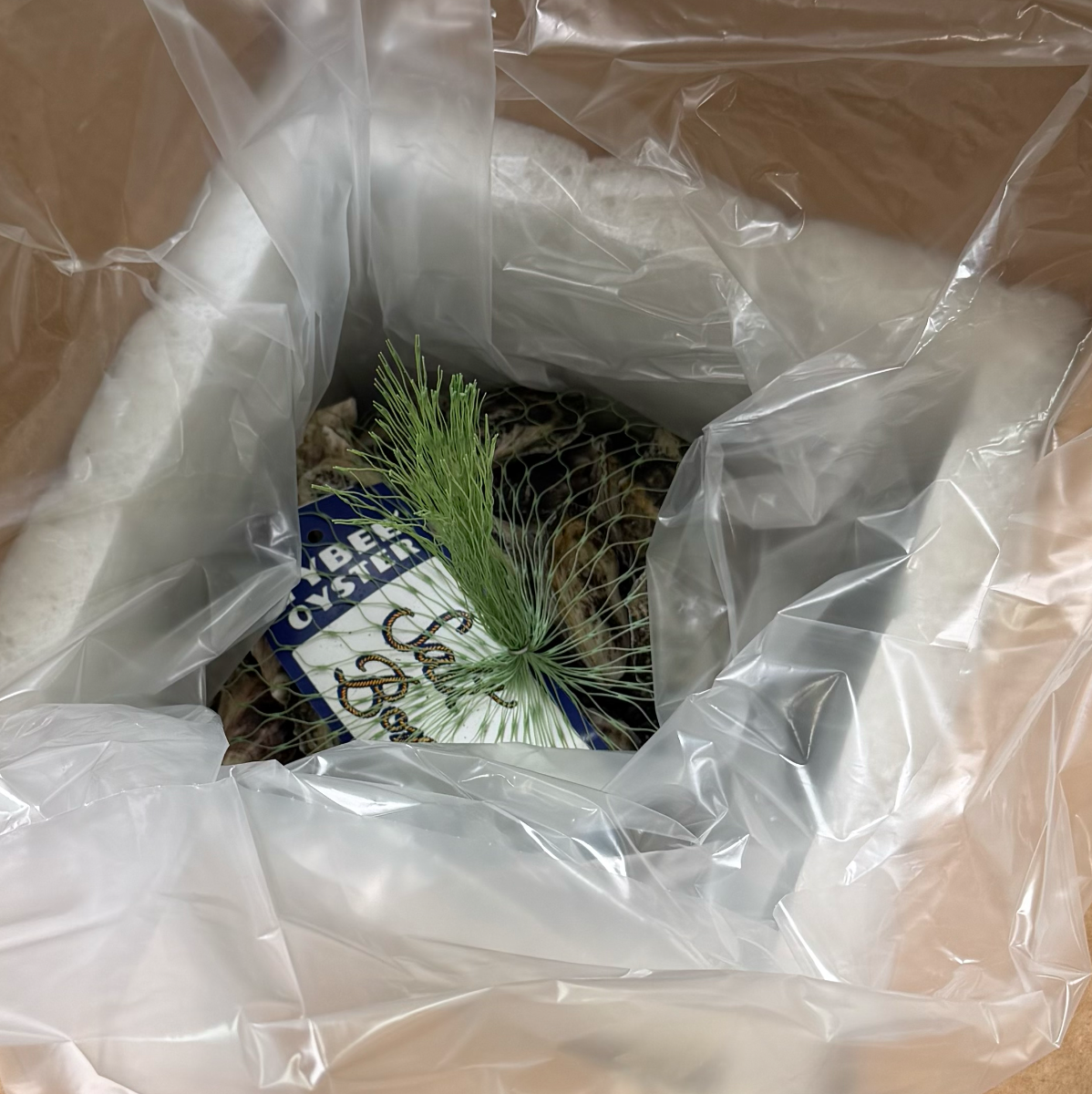 Salt Bomb - 100 Qty - Shipped